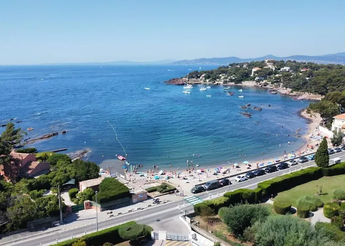 Apartment Privilege *